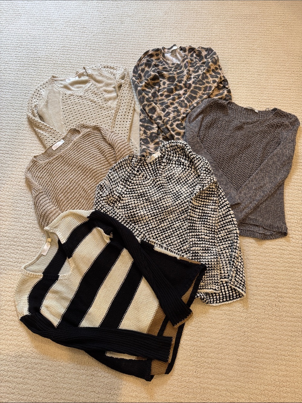 RD Style Neutral Women's Sweater Mix - Black, Cream, Gray, Brown